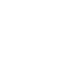 Turkish Characters
